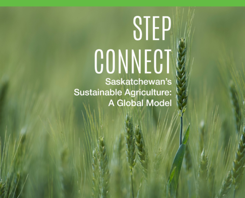 Global Institute for Good Security, Sustainable Ag, Global Ventures, STEP Connect
